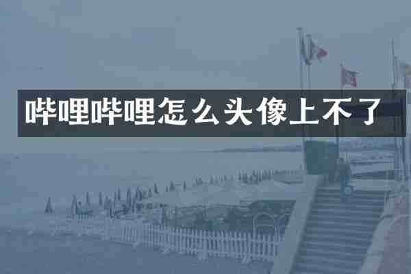 哔哩哔哩怎么头像上不了