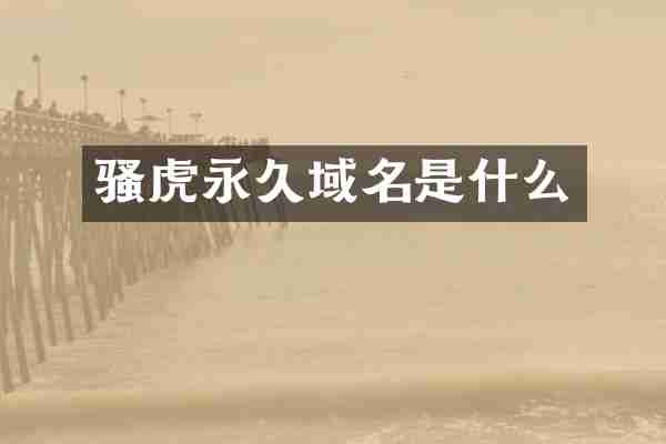 虎永久域名是什么