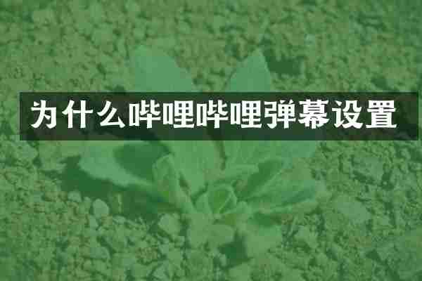 为什么哔哩哔哩弹幕设置