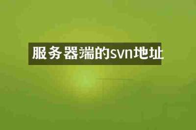 服务器端的svn地址