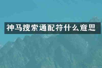 神马搜索通配符什么意思