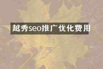 越秀seo推广优化费用