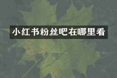 小红书粉丝吧在哪里看