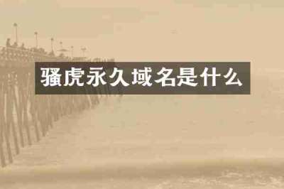 骚虎永久域名是什么