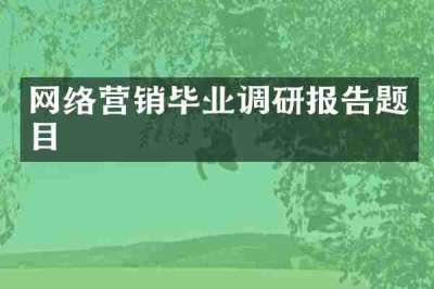 网络营销毕业调研报告题目