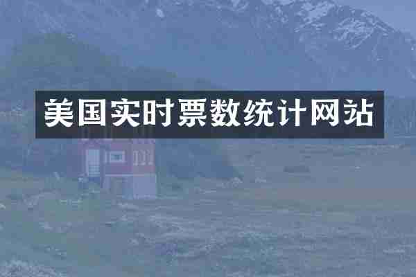 美国实时票数统计网站