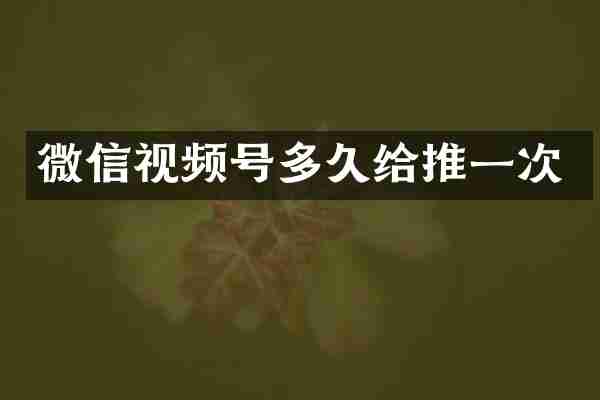 微信视频号多久给推一次