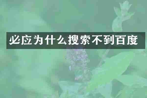 必应为什么搜索不到百度