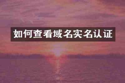 如何查看域名实名认证