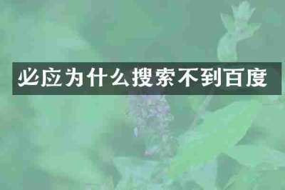 必应为什么搜索不到百度