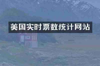 美国实时票数统计网站