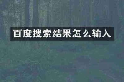 百度搜索结果怎么输入