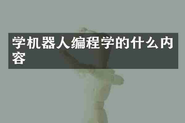 学机器人编程学的什么内容