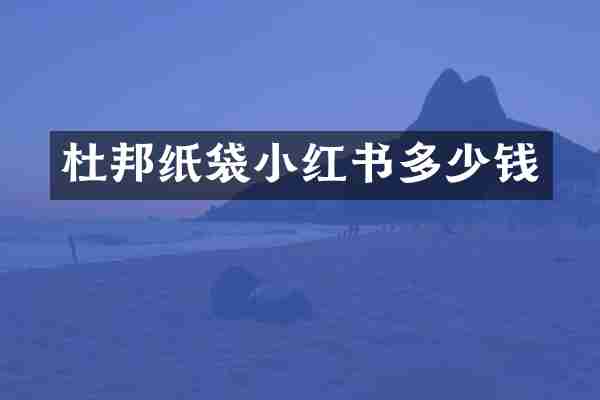 杜邦纸袋小红书多少钱