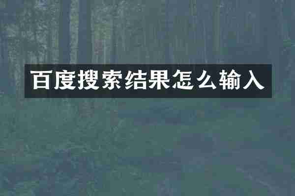 百度搜索结果怎么输入