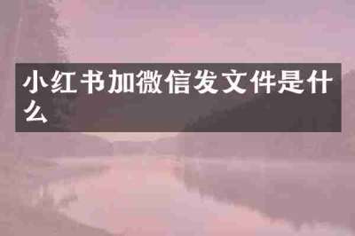 小红书加微信发文件是什么