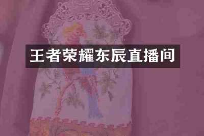 王者荣耀东辰直播间