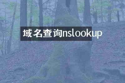 域名查询nslookup