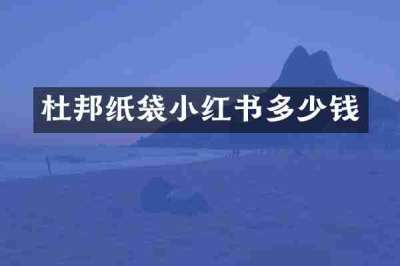 杜邦纸袋小红书多少钱