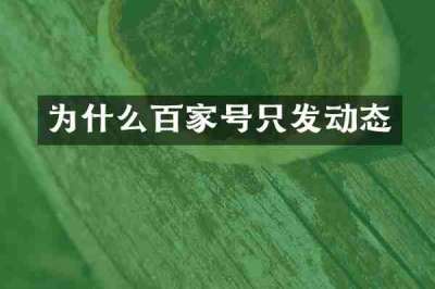 为什么百家号只发动态