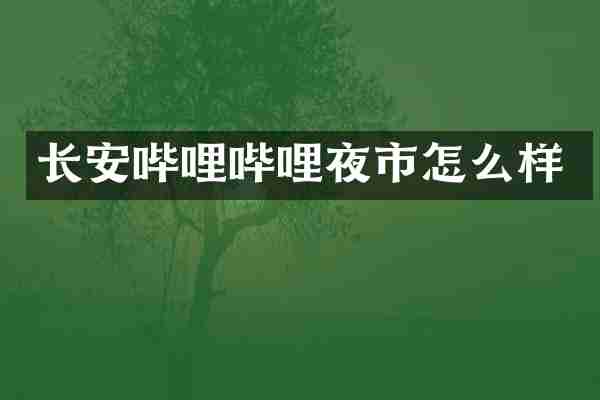 长安哔哩哔哩夜市怎么样