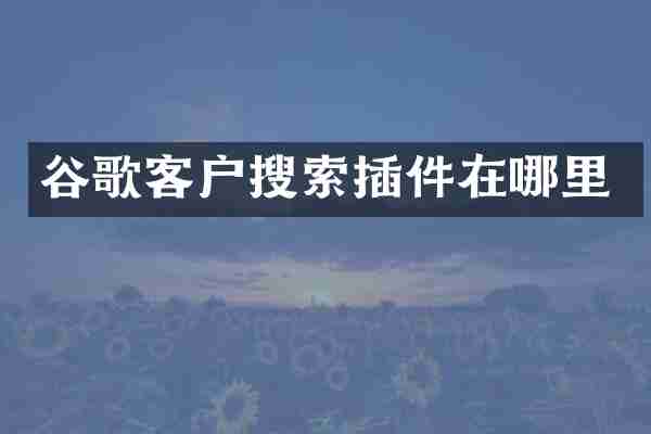 谷歌客户搜索插件在哪里