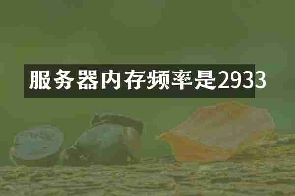 服务器内存频率是2933