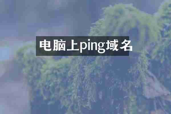 电脑上ping域名