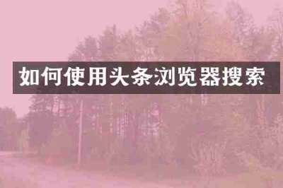 如何使用头条浏览器搜索