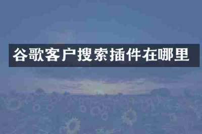 谷歌客户搜索插件在哪里