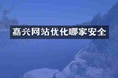 嘉兴网站优化哪家安全