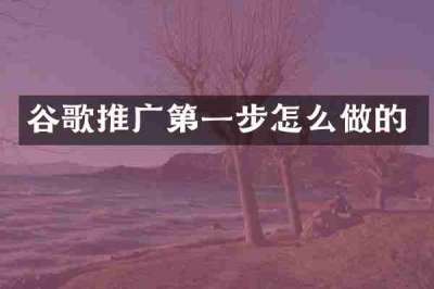 谷歌推广第一步怎么做的