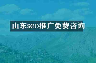 山东seo推广免费咨询