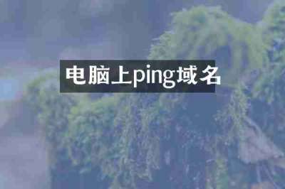 电脑上ping域名