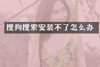 搜狗搜索安装不了怎么办