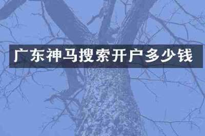广东神马搜索开户多少钱