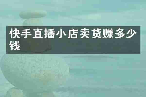 快手直播小店卖货赚多少钱