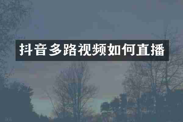 抖音多路视频如何直播