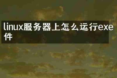 linux服务器上怎么运行exe文件