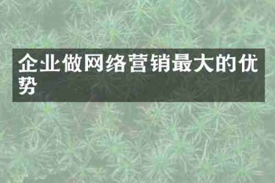 企业做网络营销最大的优势