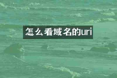 怎么看域名的uri