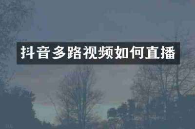抖音多路视频如何直播