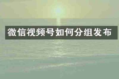 微信视频号如何分组发布