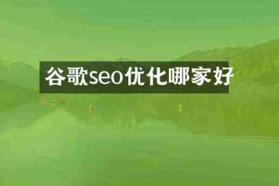 谷歌seo优化哪家好