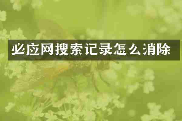 必应网搜索记录怎么消除