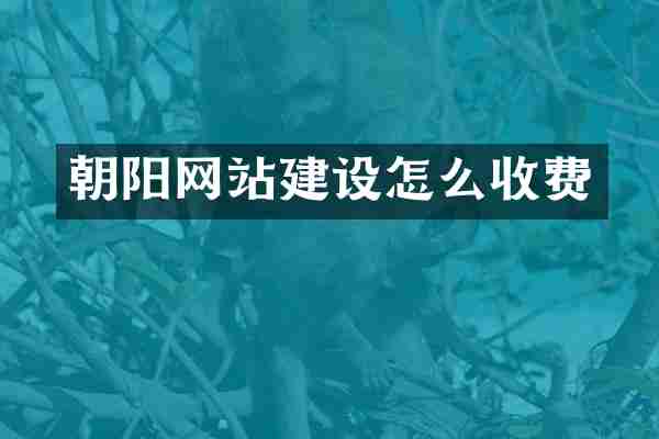 朝阳网站建设怎么收费