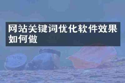 网站关键词优化软件效果如何做