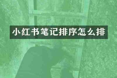 小红书笔记排序怎么排