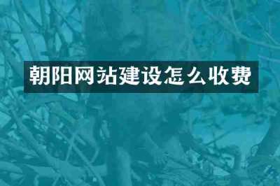 朝阳网站建设怎么收费