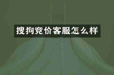 搜狗竞价客服怎么样